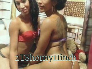 2TShorny11inch