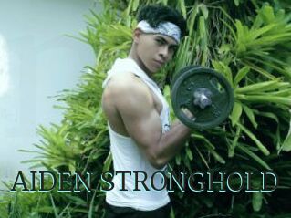 AIDEN_STRONGHOLD