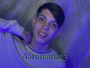 Aaronsinz23