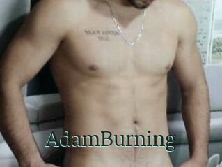 AdamBurning