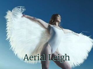 Aerial_Leigh