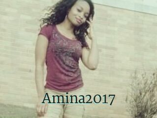 Amina2017