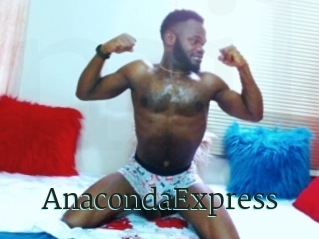 AnacondaExpress