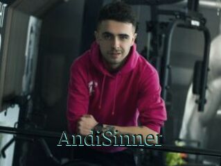 AndiSinner