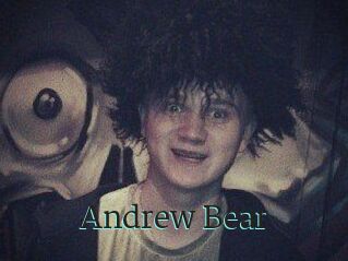 Andrew_Bear