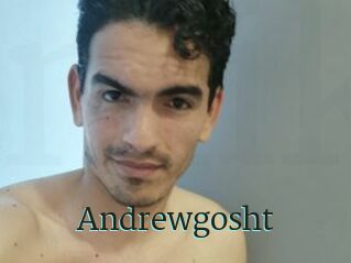 Andrewgosht