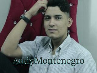 AndyMontenegro