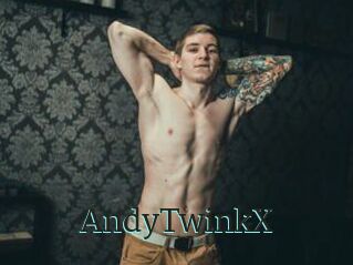 AndyTwinkX