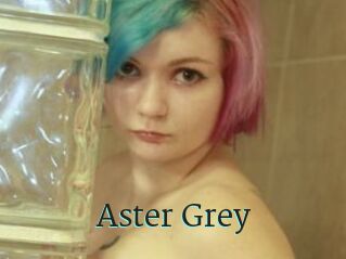 Aster_Grey