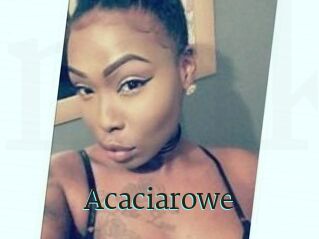 Acacia_rowe