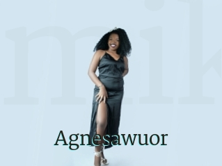 Agnesawuor