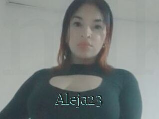 Aleja23