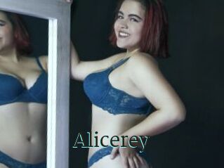 Alicerey