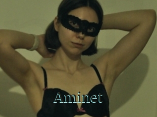 Aminet