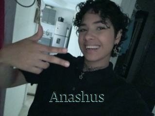 Anashus