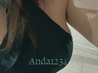 Anda1234