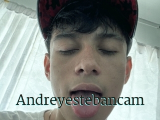 Andreyestebancam