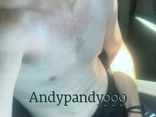 Andypandy999