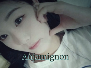 Anjamignon