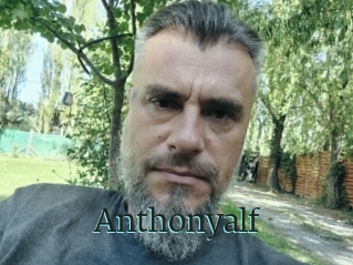 Anthonyalf