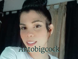 Antobigcock