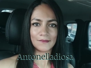 Antonelladiosa