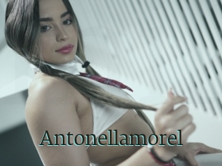 Antonellamorel