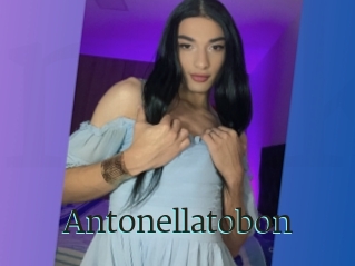 Antonellatobon