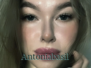 Antoniabasil