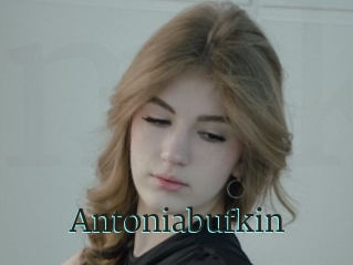 Antoniabufkin