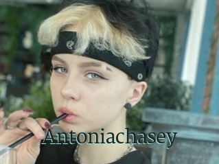 Antoniachasey