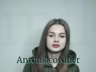 Antoniacordner