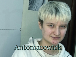 Antoniacowick