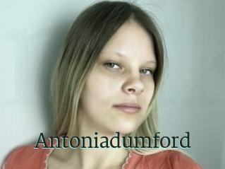 Antoniadumford