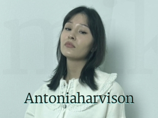 Antoniaharvison