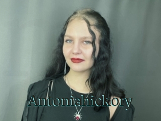 Antoniahickory