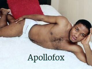 Apollofox