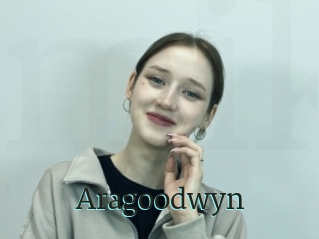 Aragoodwyn