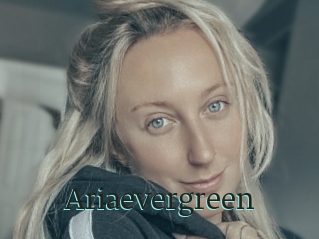 Ariaevergreen