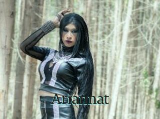 Ariannat