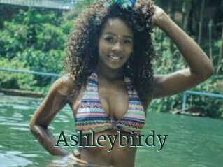 Ashleybirdy