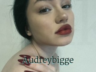 Audreybigge