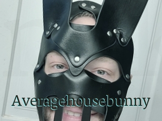 Averagehousebunny