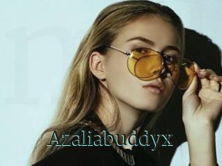 Azaliabuddyx