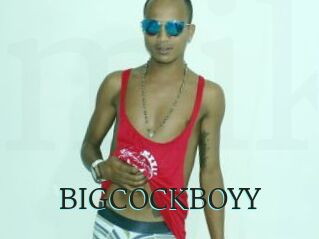 BIGCOCKBOYY