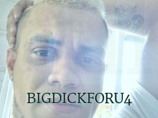 BIGDICKFORU4