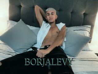 BORJALEVY