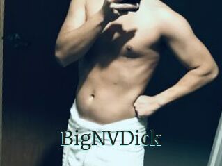 BigNVDick