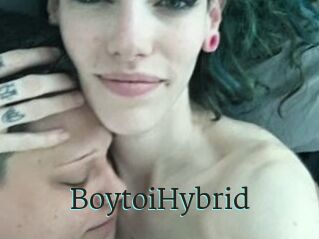 BoytoiHybrid