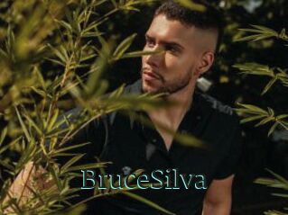 BruceSilva